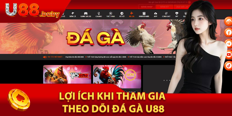 Lợi Ích Khi Tham Gia Theo Dõi Đá Gà U88